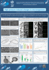 P22 High pressure induced changes in microorganisms